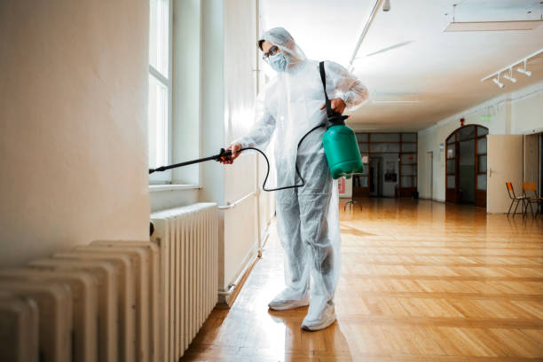 Real Estate Pest Inspections in Salem, IL